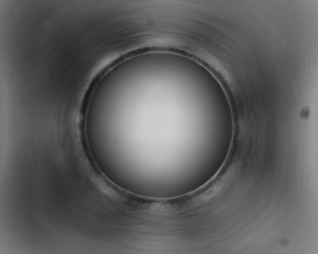 X0000103401029200809121237