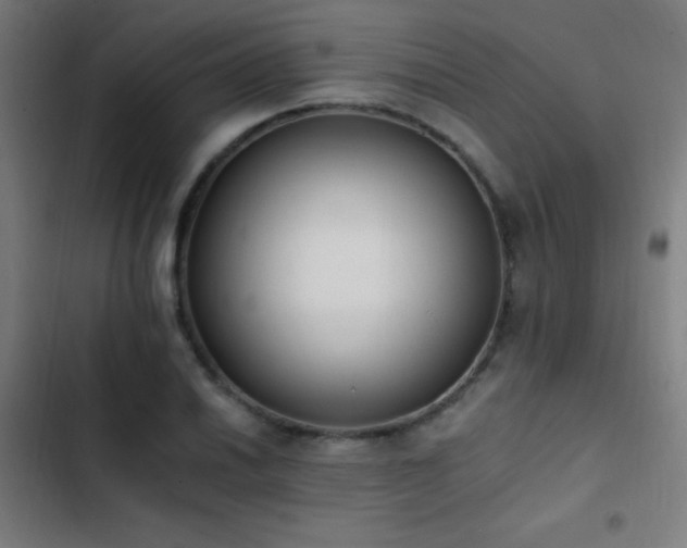 X0000103401030200809121237