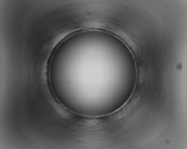 X0000103401031200809121237