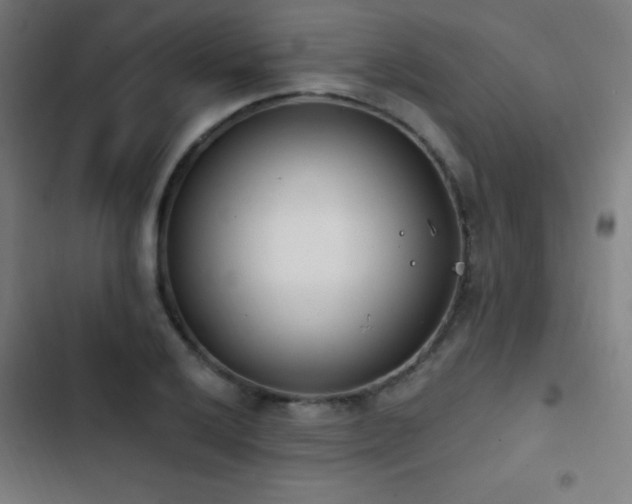 X0000103401032200809121237