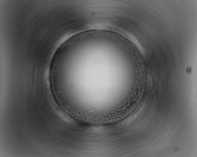 X0000103401035200809121237