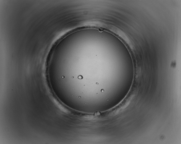 X0000103401037200809121237