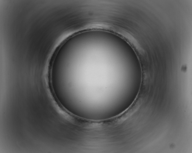 X0000103401038200809121237