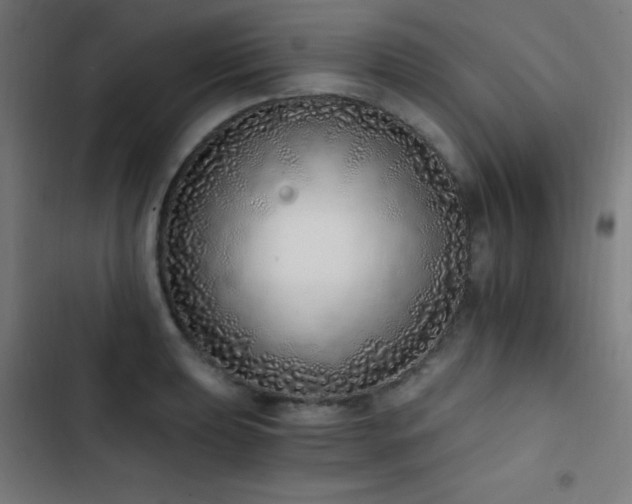 X0000103401039200809121237