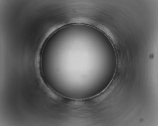 X0000103401040200809121237