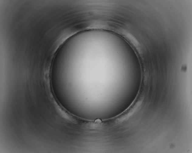 X0000103401041200809121237