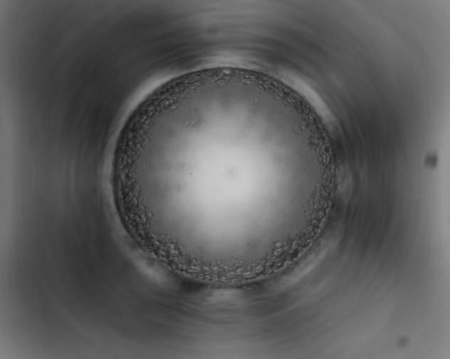X0000103401043200809121238