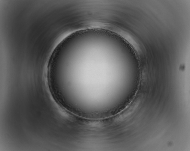 X0000103401047200809121238