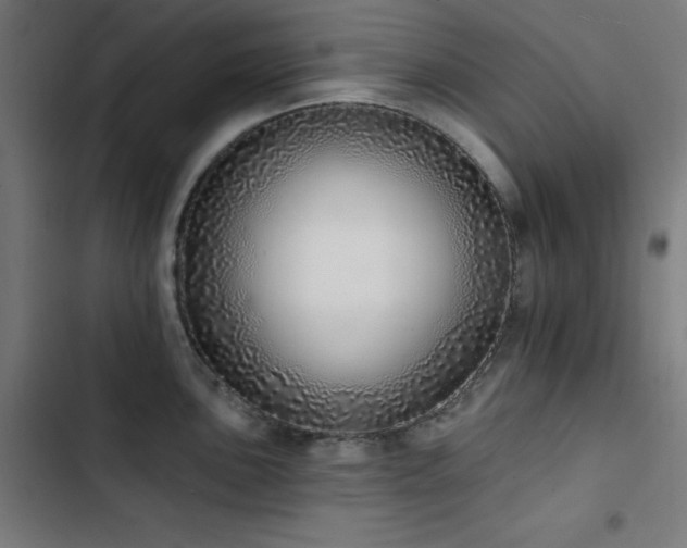 X0000103401051200809121238