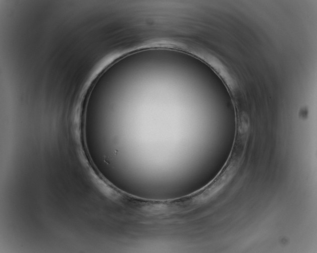 X0000103401054200809121238