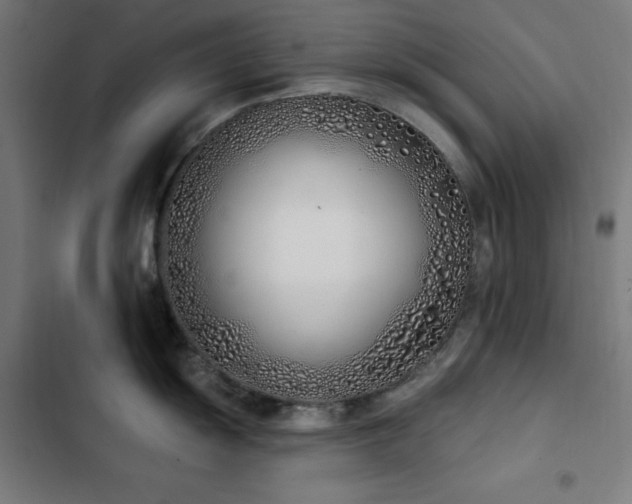 X0000103401055200809121238