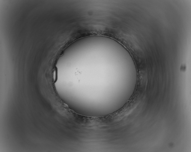 X0000103401057200809121237