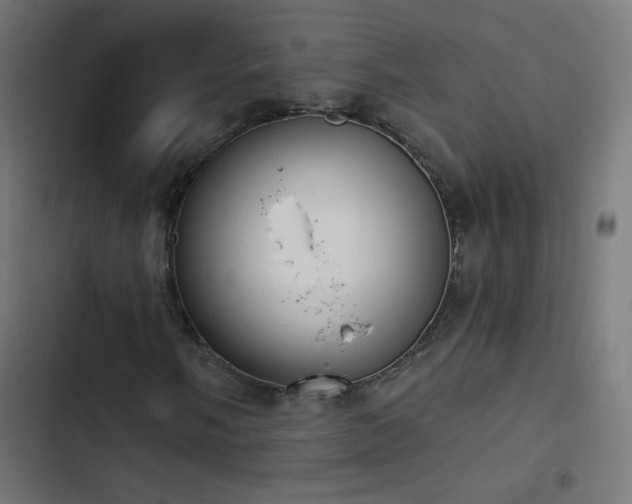 X0000103401058200809121237