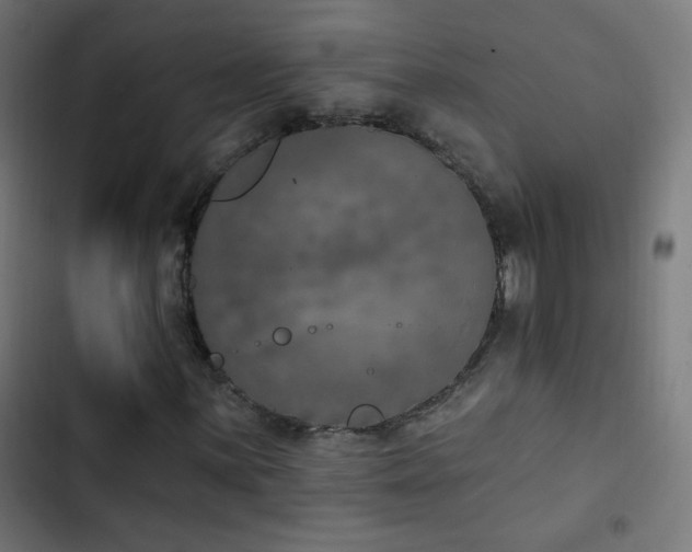 X0000103401059200809121237