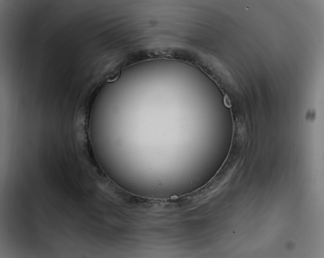 X0000103401060200809121237