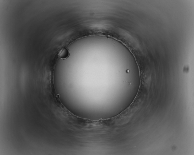 X0000103401061200809121237