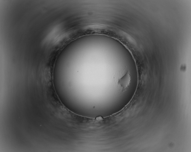 X0000103401062200809121237