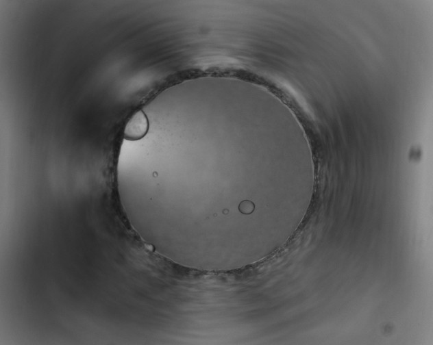 X0000103401063200809121237