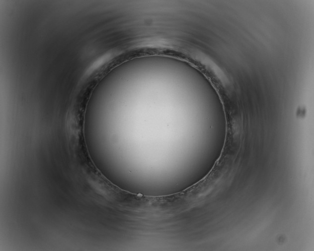 X0000103401064200809121237