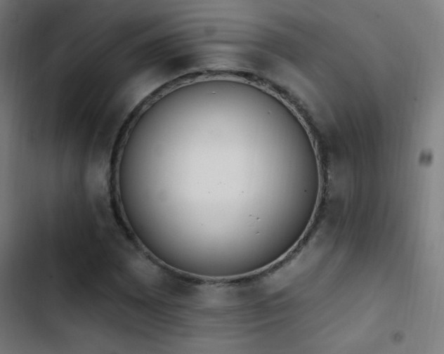 X0000103401065200809121237
