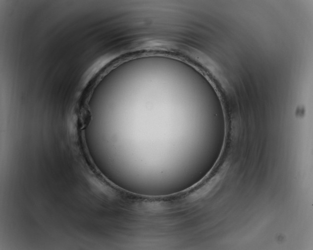 X0000103401066200809121237