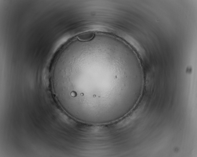 X0000103401067200809121237