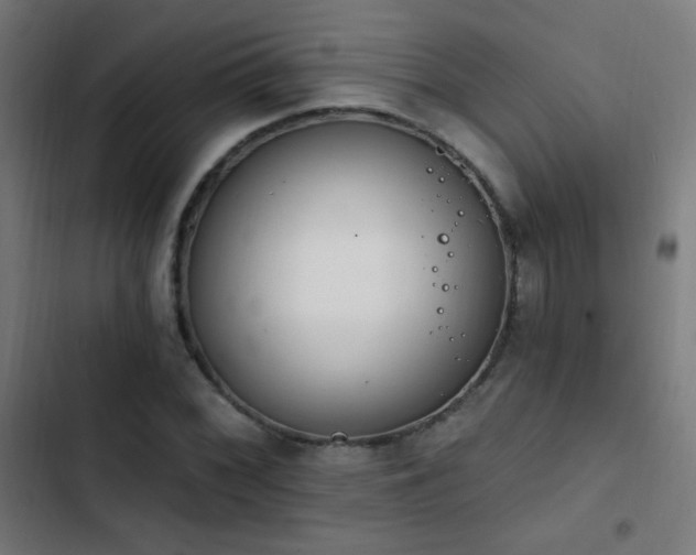 X0000103401068200809121237