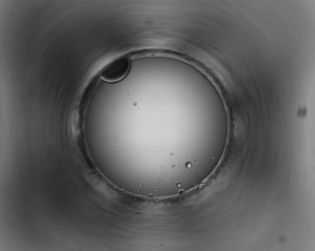 X0000103401069200809121237