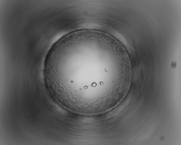X0000103401071200809121237