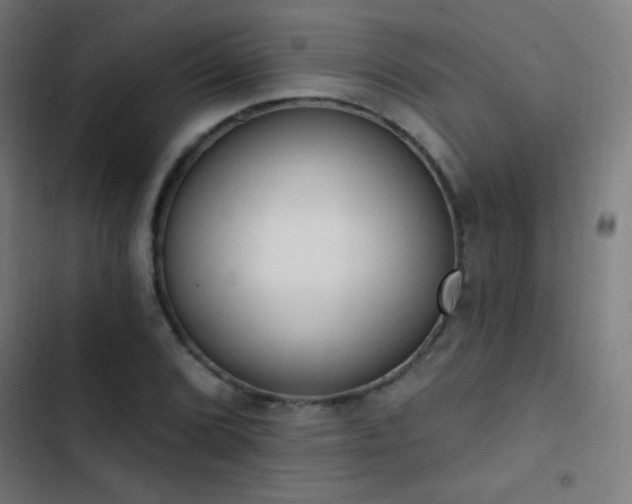 X0000103401072200809121237