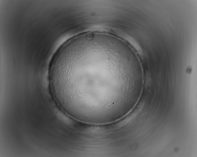 X0000103401075200809121237