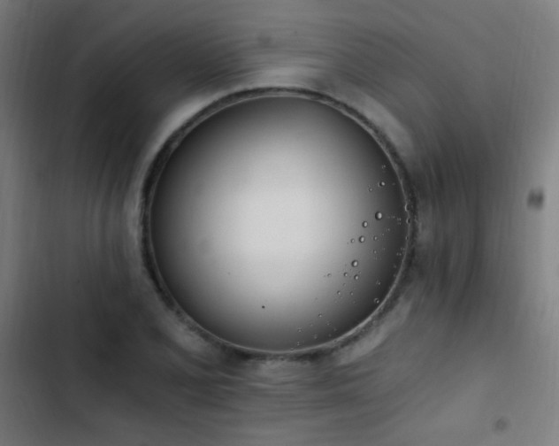 X0000103401077200809121237
