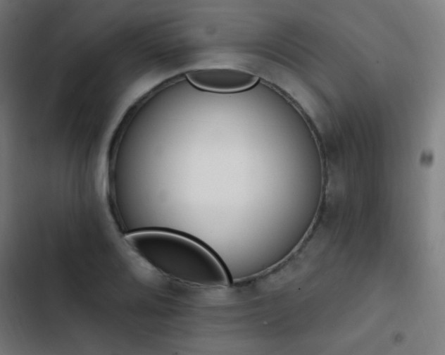 X0000103401080200809121237