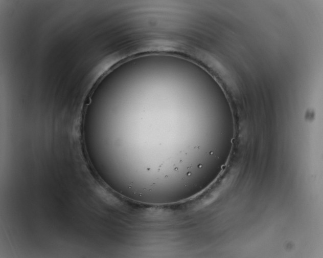 X0000103401081200809121237