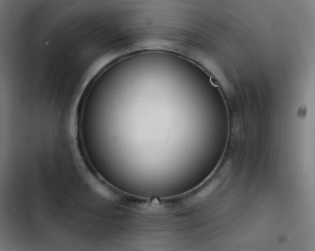 X0000103401082200809121237