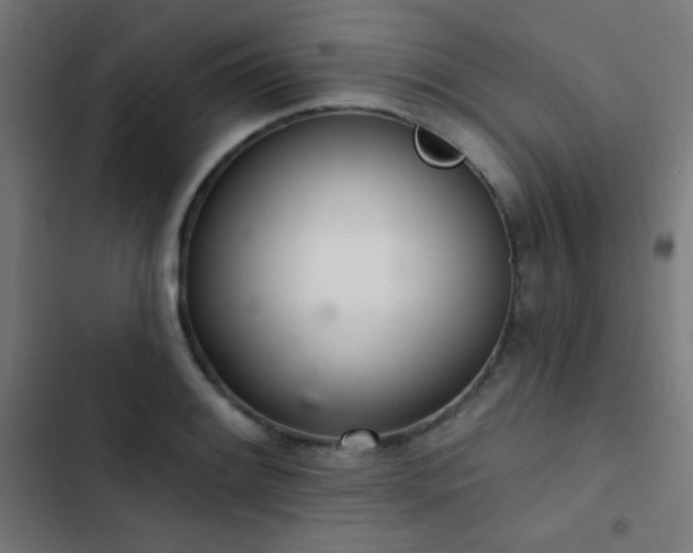 X0000103401084200809121236