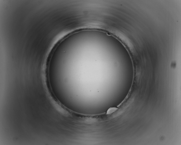 X0000103401085200809121236
