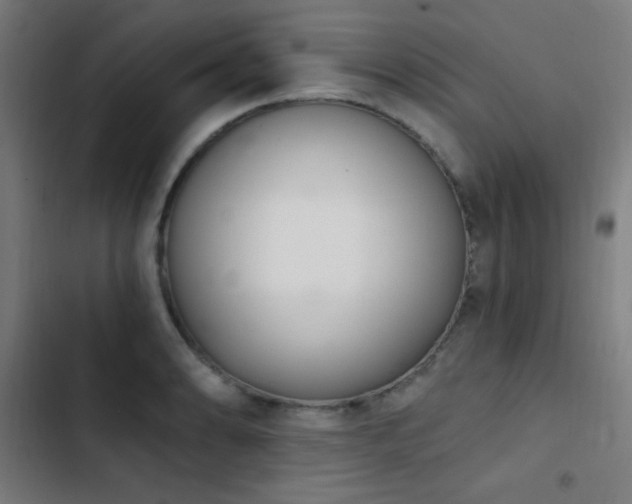 X0000103401086200809121236