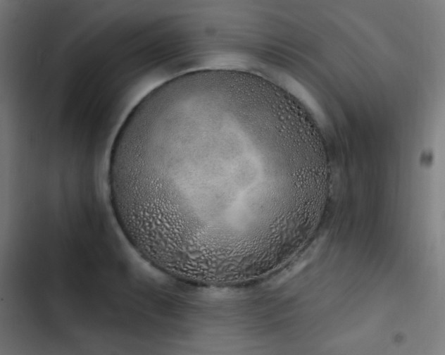X0000103401087200809121236