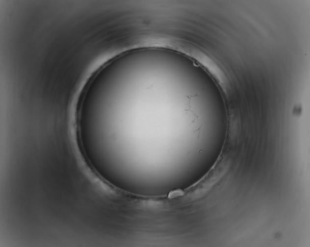 X0000103401088200809121236