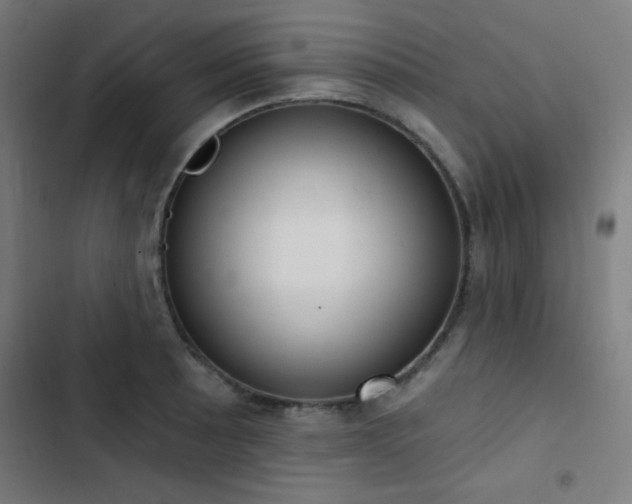 X0000103401089200809121236