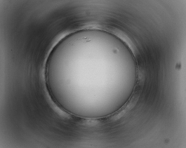 X0000103401090200809121236