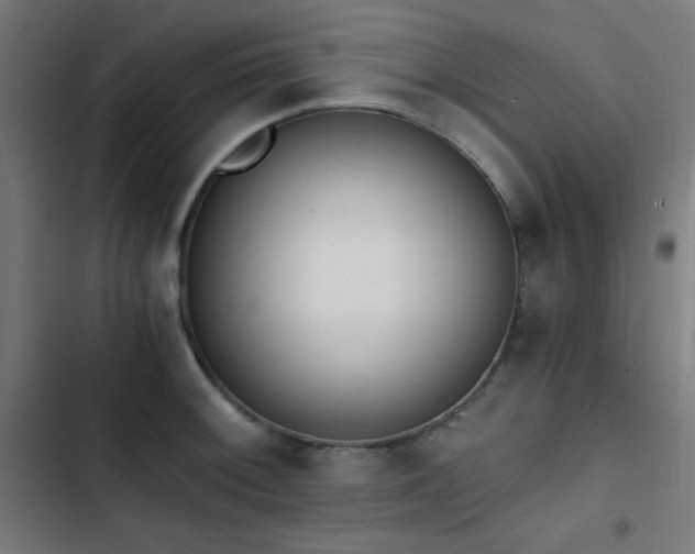 X0000103401092200809121236