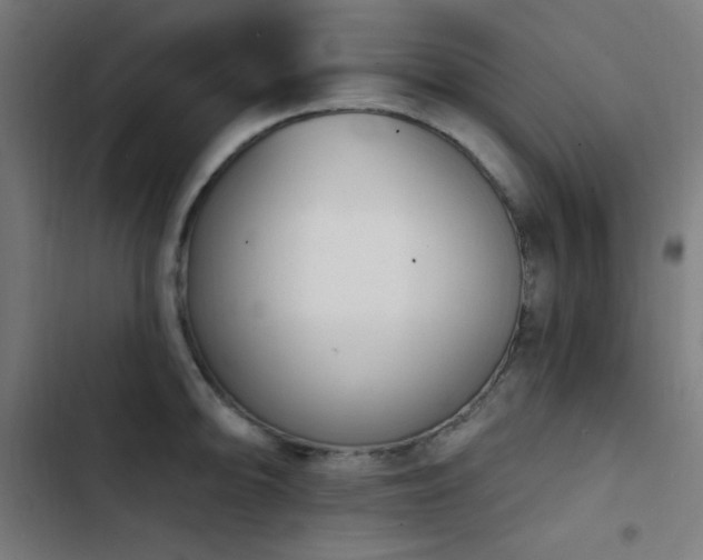 X0000103401094200809121236