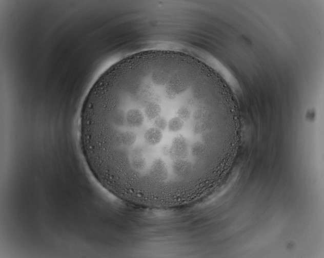 X0000103401095200809121236