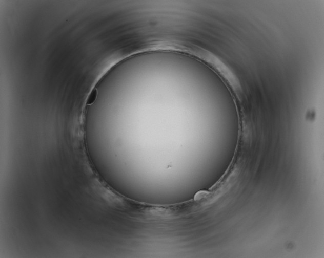 X0000103401097200809121236