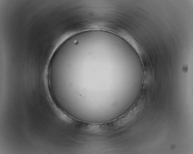 X0000103401098200809121236