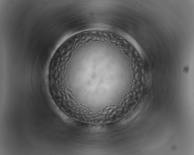 X0000103401099200809121236