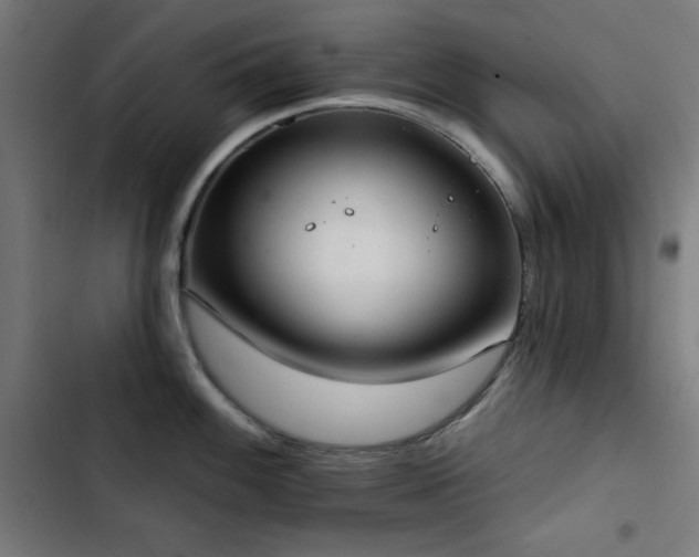 X0000103401100200809121236