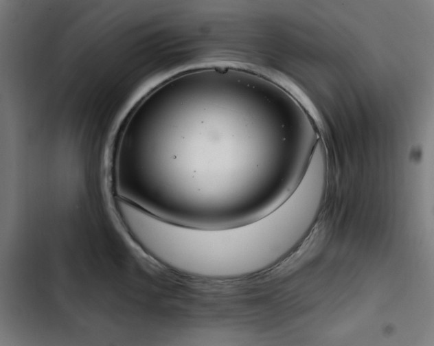 X0000103401101200809121236